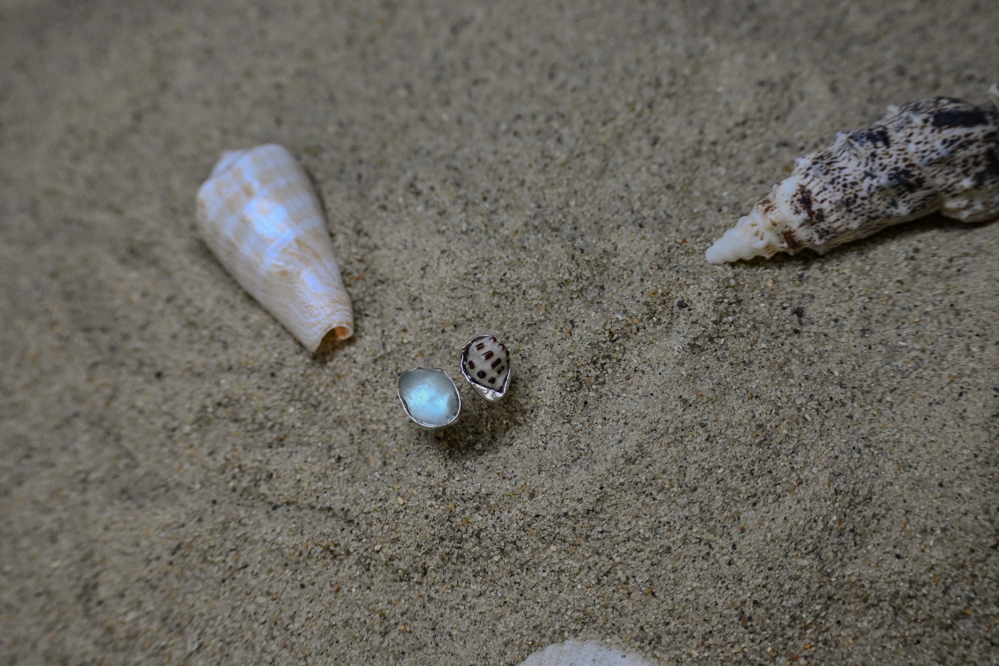 Hawaii Ring - Spotted Shell