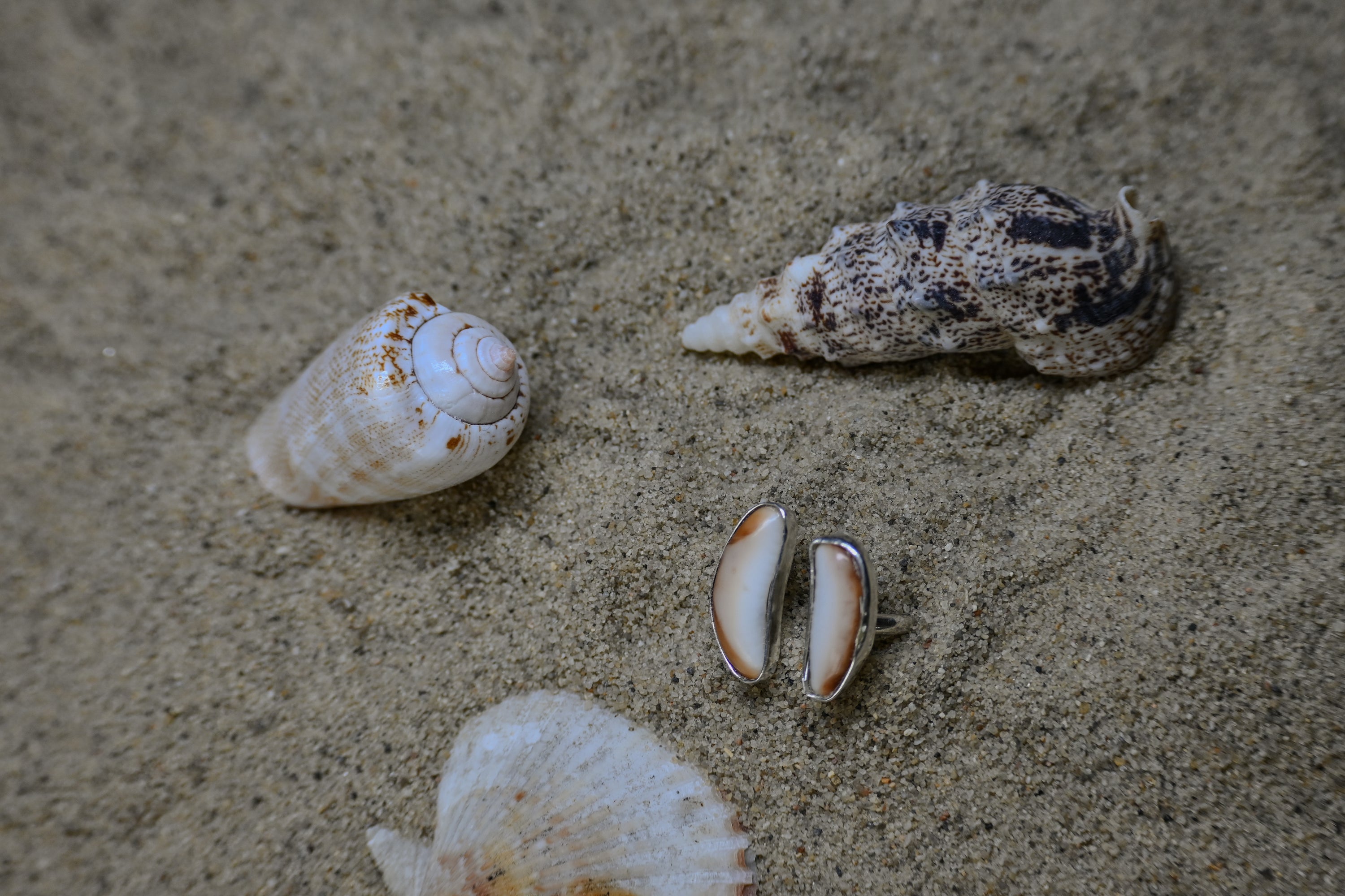 Hawaii Ring - Seashell Dream