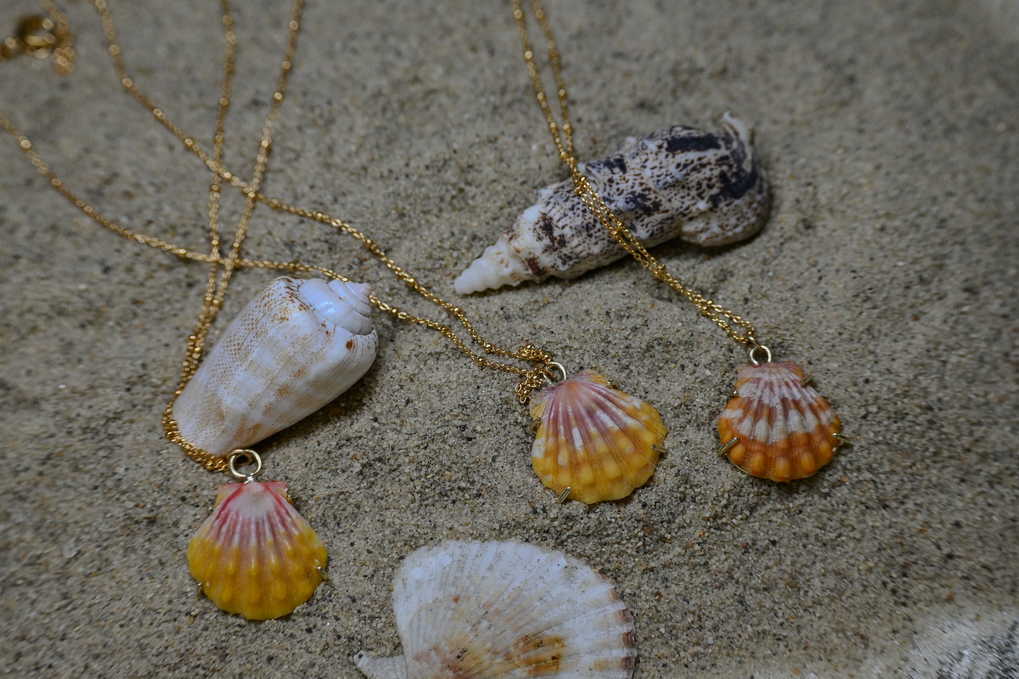 Ocean Sunshine Shell Necklace