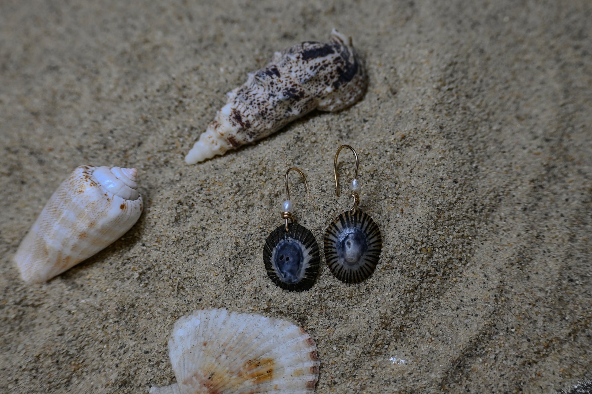 Little Ocean Treasures