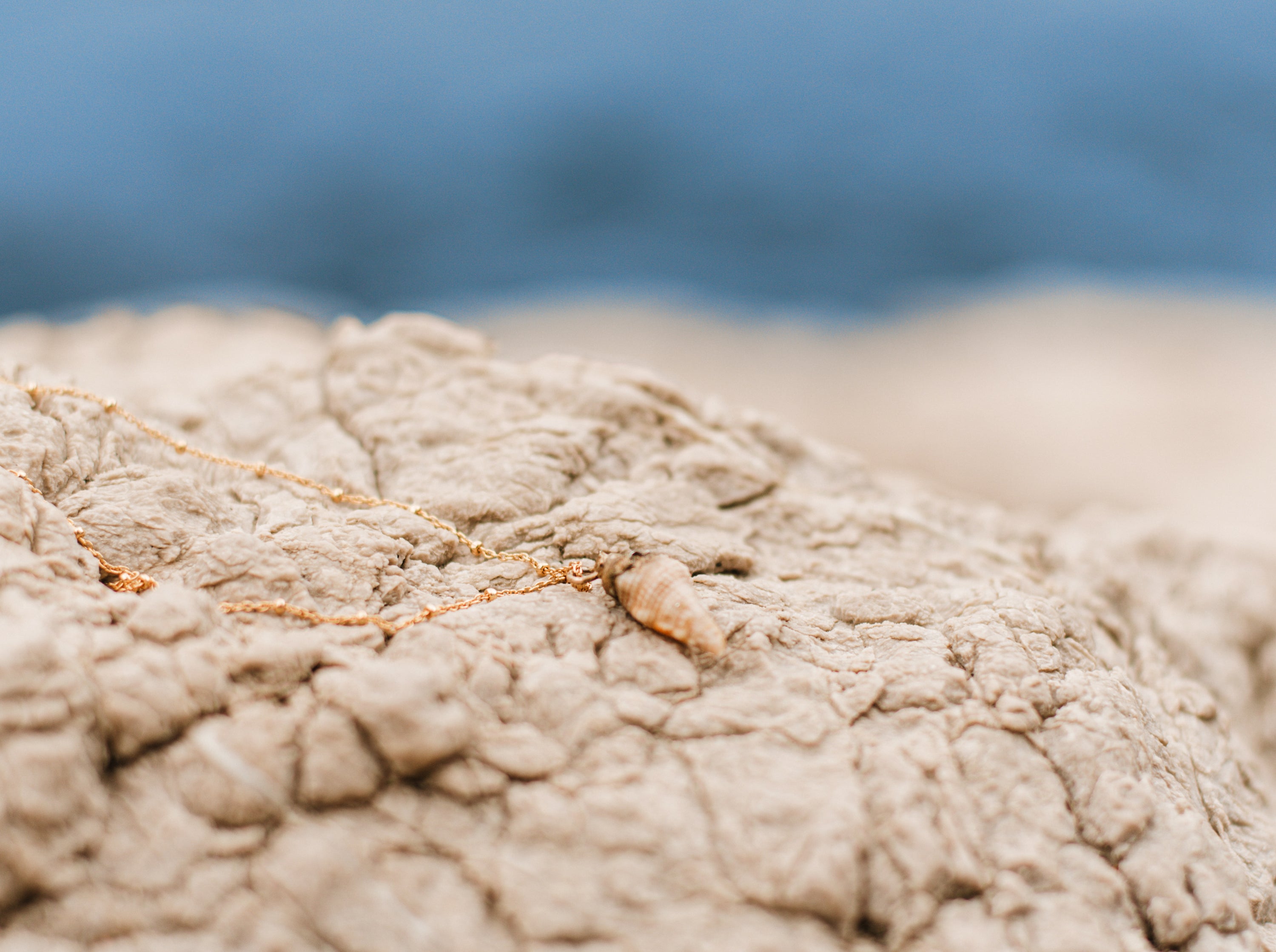 Sea Shell Necklace
