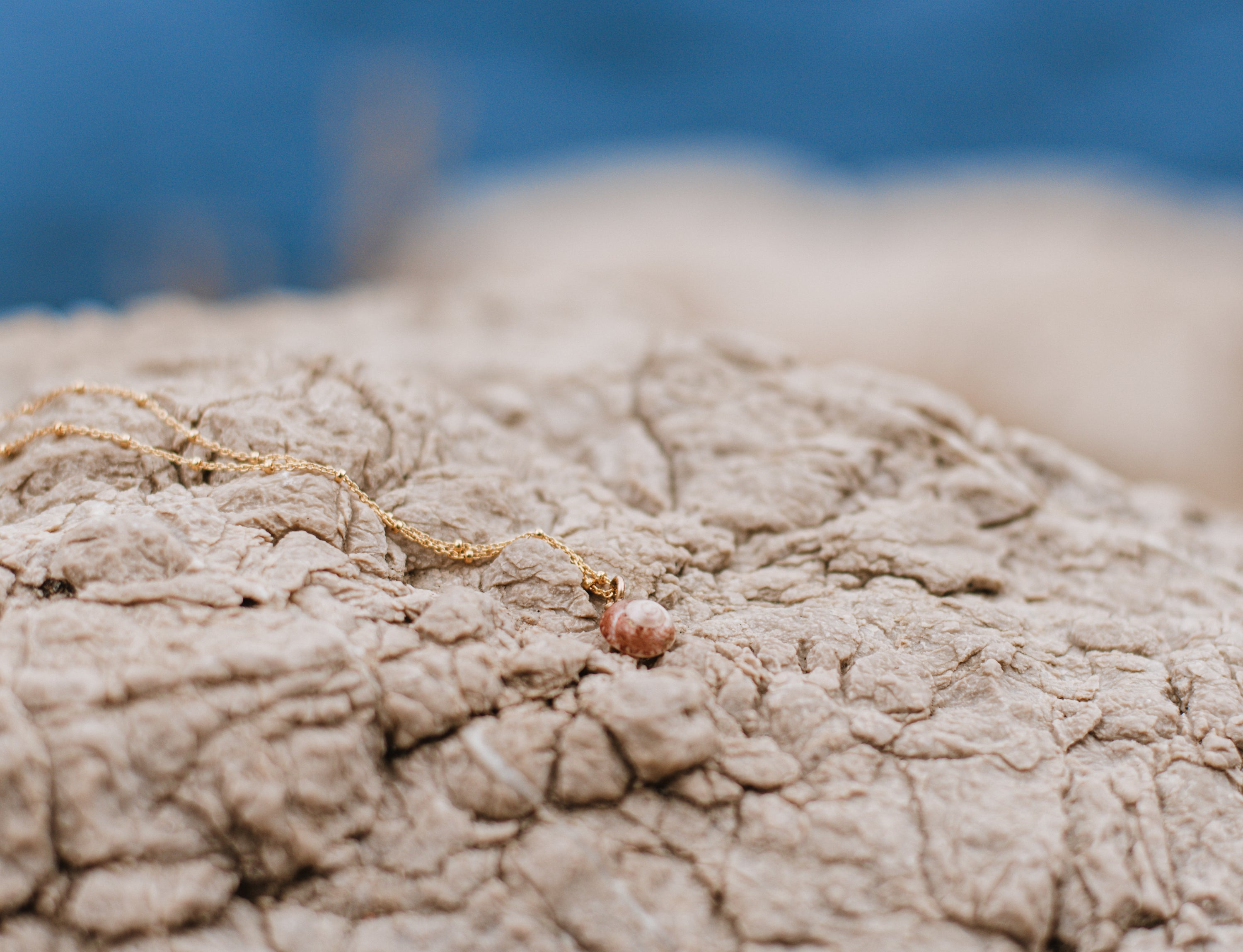 Sea Shell Necklace